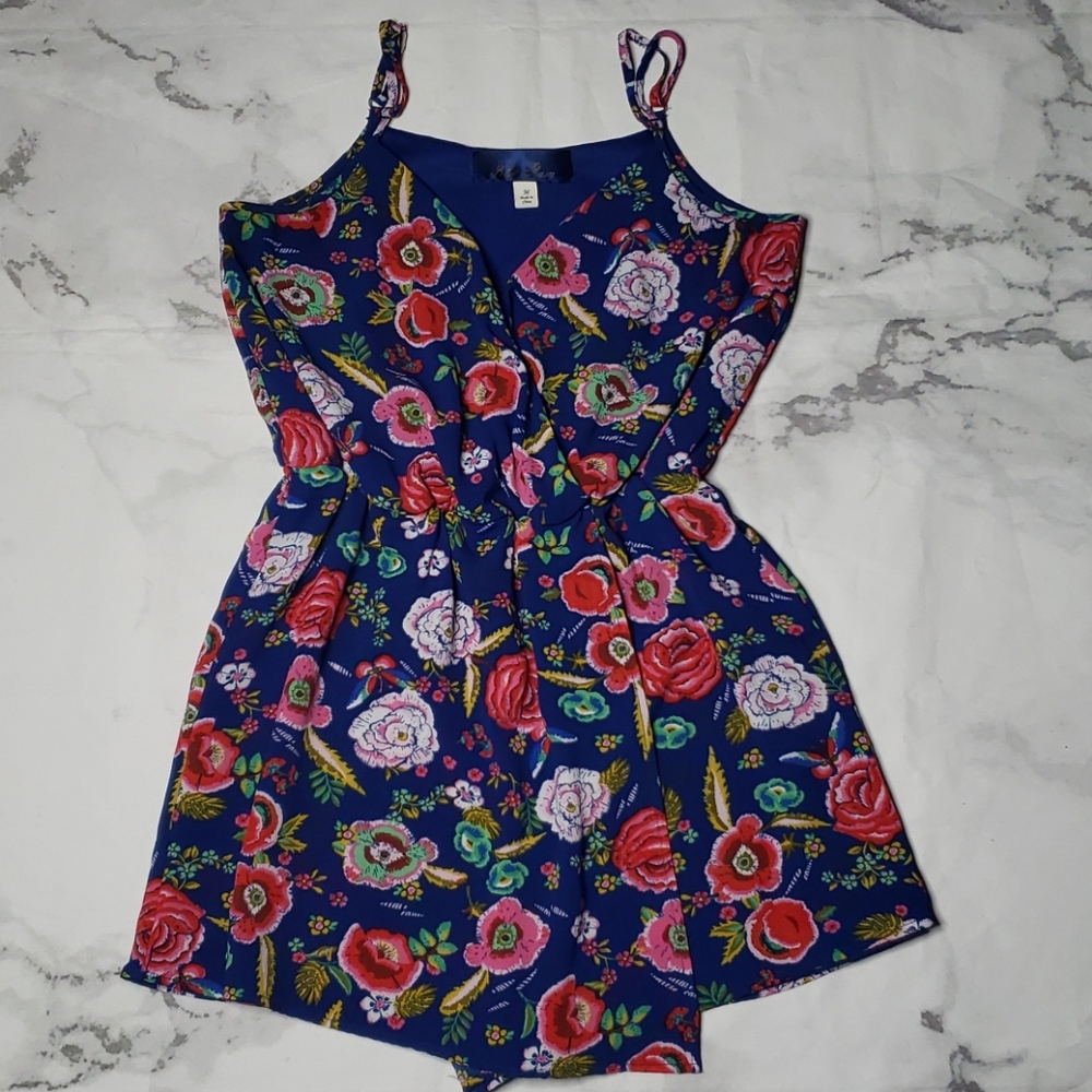 Blue Pair romper (Francesca's)